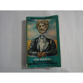 IN CAUTAREA SENSULUI PIERDUT - ION BAIESCU